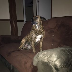 Meet your Posher, Justin